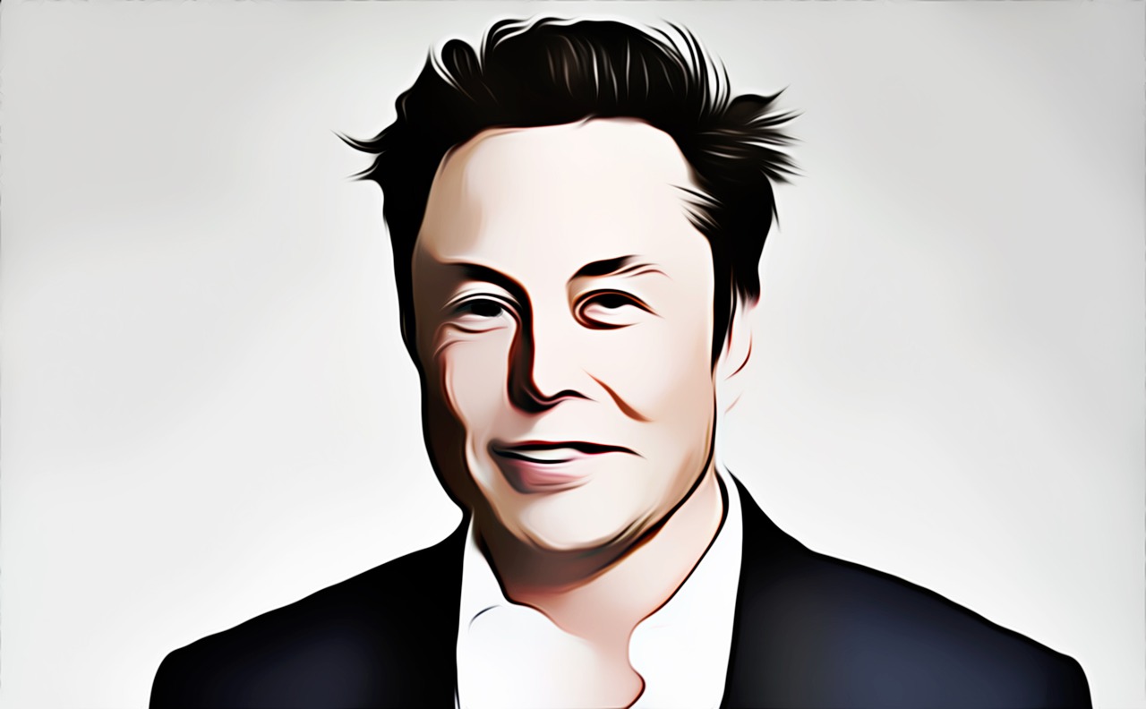 Ti piacerebbe spendere il patrimonio di Elon Musk?